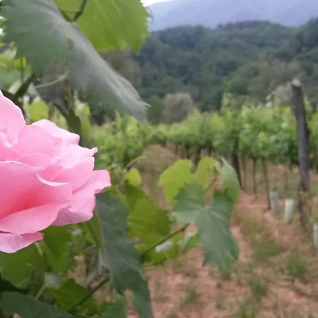 Maison d'hôtes Cà De Lelio 3*