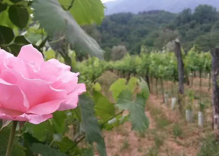 בית הארחה Ca De Lelio 3*